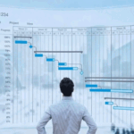 Professional Project Management For On-Time Results