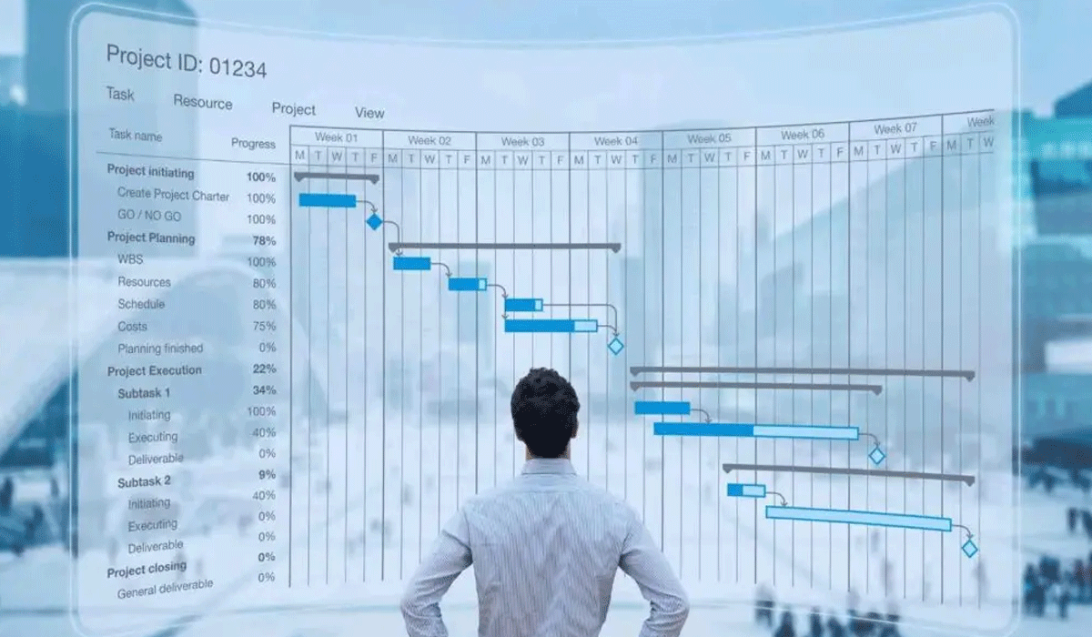 Professional Project Management For On-Time Results